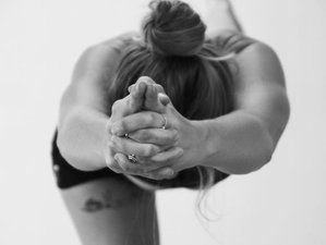 5 Day Inner Essence Yoga Retreat in Santo Isidoro, Portugal with Creative Workshops