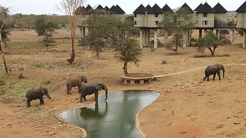 2 Days Road Safari in Tsavo West National Park, Kenya