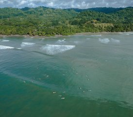 5 Day Tropical Surfcamp in Santa Teresa, Costa Rica - Photo 2