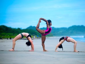 21 Tage 200 Stunden Yogalehrer Ausbildung in Playa Guiones, Nosara