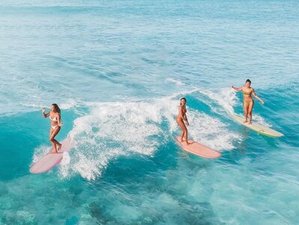 7 Jour Escapade en Longboard à Nosara : Séjour Surf Réservé aux Femmes au Costa Rica avec Soins Somatiques