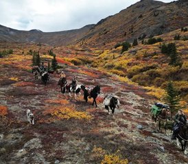 210 Tage Grizzly-Mountain-Reit-Camping-Trip im Yukon, Kanada - Photo 1