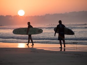 5 Day All Levels Yoga Holiday, Surf Camp, and Exploring Tours in Arugam Bay, Sri Lanka