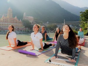 24 Day 200-Hour Transforming Hatha Yoga Teacher Training in Rishikesh, India