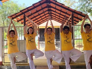 29 Day 200-Hour Classical Sivananda Yoga Teacher Training in Coimbatore, India