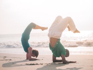 7 Day Rejuvenating Hatha Yoga Retreat in Kerala, India