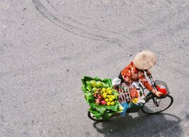 Hanoi Retreats & Trips
