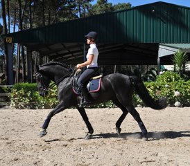 7 jours stage standard en saut d’obstacles et dressage à Apúlia e Fão, Esposende, Portugal - Photo 4