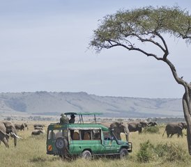 3 Tage Masai Mara mit einer Heißluftballon Safari - Photo 2