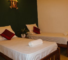 5-Daagse Ayurveda en yoga retreat in Varkala, India - Photo 3