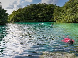 9 Day Riviera Maya Adventure: Step in Paradise in Amazing Beaches and More in Mexico