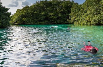 9 Tage Riviera Maya Tour: Schritt ins Paradies an Traumhaften Stränden und Mehr in Cancun, Mexiko