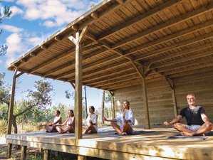 The Not So Serious Five Days of Yoga & Wine Retreat