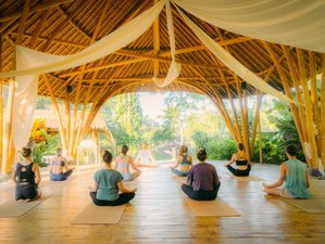 24 Day 200-Hour Hatha Yoga Teacher Training with Meditation Labs in Ubud, Bali, Indonesia