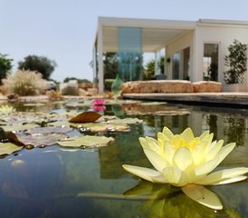 7 jours en retraite de yoga avec soins ayurvédiques dans les Pouilles, Italie - Photo 2