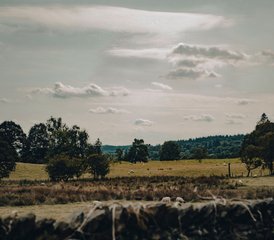 5 Tage Mittelwochen Reconnect, Rewild & Realign; Yoga und Wandern, Natur Retreat im Lake District, Vereinigtes Königreich - Photo 4