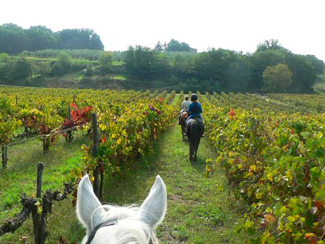 5 Day A Taste of Tuscany Horse Riding Holiday in Rendola Arezzo