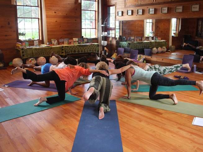 Top 21 Best Yoga Studios near Bradenton, United States Updated
