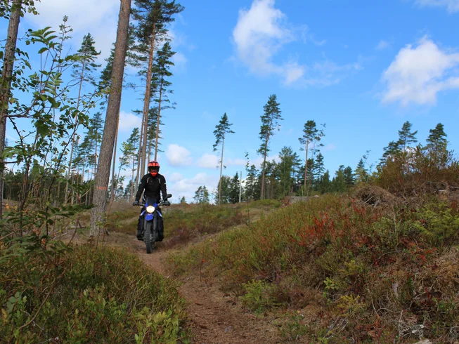 7 Day Experience the Wild: Guided Motorcycle Adventure in Småland, Sweden photo 10