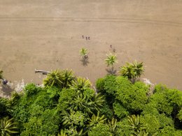Bahia Ballena de Oro Retraites et Voyages