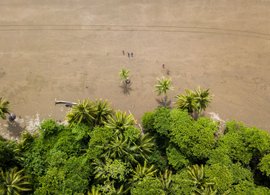 Bahia Ballena de Oro Retraites et Voyages