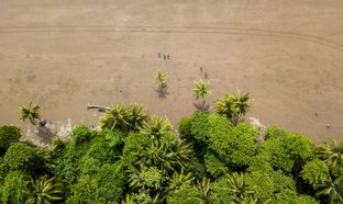 Bahia Ballena de Oro Retraites et Voyages