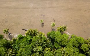 Bahia Ballena de Oro Retreats und Reisen