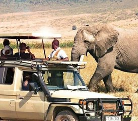 5 jours le meilleur safari en Tanzanie en 4x4 Land Cruiser, Tanzanie - Photo 2