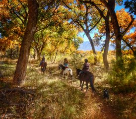 8 jours en stage de sauvetage équestre au ranch au Nouveau-Mexique, États-Unis: Ride with Purpose - Photo 3