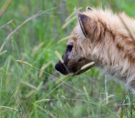 7 Day Northern Circuit Tanzania Safari at Tarangire, Manyara, Ngorongoro, and Serengeti - Photo 4