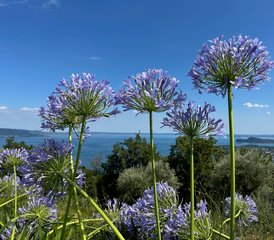 7 Tage Frauen Relax Retreat am Gardasee, Italien - Photo 5