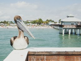 Florida Retreats und Reisen