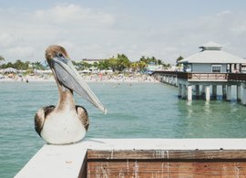 Florida Retreats & Trips