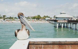 Florida Retreats und Reisen