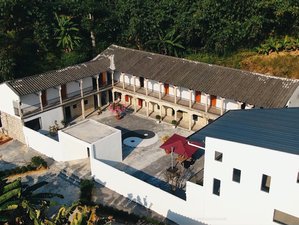 2 Week Introduction Tai Chi & QiGong Training near HongKong / FangYuan TaiChi Retreat 