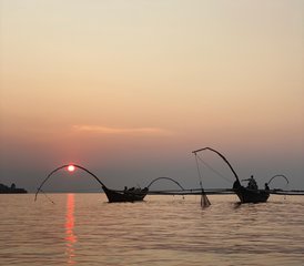 6 Tage Schimpansen- und Goldmeerkatzen-Safari-Tour in Ruanda - Photo 4