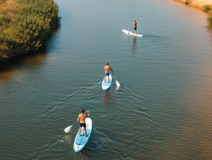 5 días de retiro de surf en Santa Cruz Nature House, Portugal, con tiro con arco zen