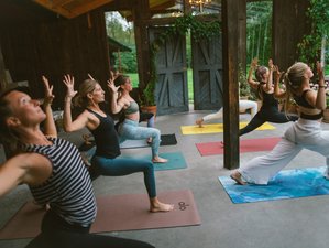 14 Tage 150-Stunden Vinyasa Yogalehrer Ausbildung für Erfahrene in Schweden