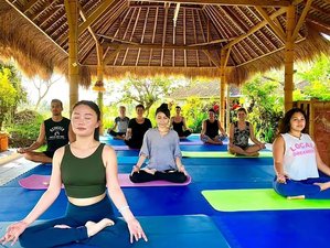 6 Day Emotional Detox, Breathwork, Yoga, Meditation and Self-love Retreat in Bali, Indonesia