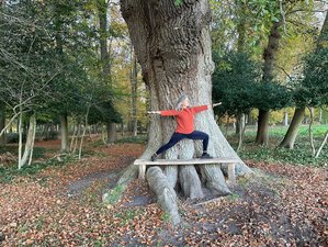 3-Daagse Weekend Iyengar Yoga Retreat op de Veluwe, Gelderland