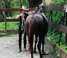 4-Daagse Empowerende Natural Horsemanship en Yoga Retreat in Midden-Java, Salatiga, Indonesië - Photo 2