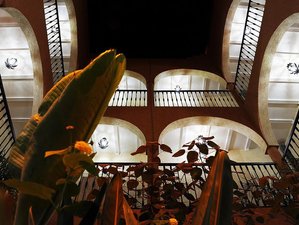 Chillout Surf Hostel in Taghazout, Morocco