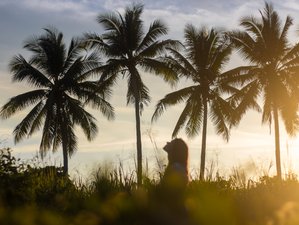 8 jours de surf à Santa Teresa, province de Puntarenas, Costa Rica