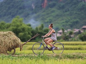4 Day Natural Park Mountain Bike Tour in Vietnam