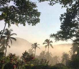 11 jours en retraite de yoga, pilates, méditation et aventure avec soins offerts au Sri Lanka - Photo 5