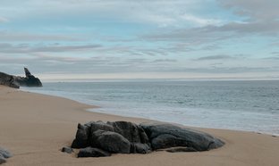 San José del Cabo Retreats & Trips