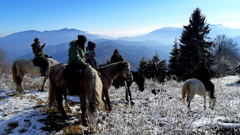 4 Day Horse Riding Holiday in the Lotru Mountains