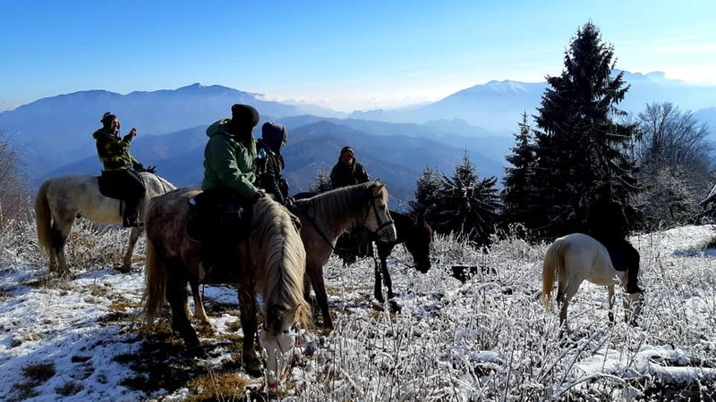 4 Day Romania Horse Riding Tour in The Wilderness of The Carpathian Mountains