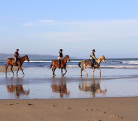 4-Daagse Privé Paardrijvakantie met Tom and Tori Horse and Heart aan de Wild Coast, Zuid-Afrika - Photo 2