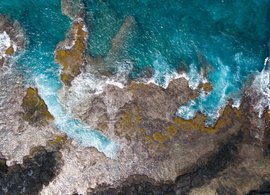 Captain Cook Retreats und Reisen
